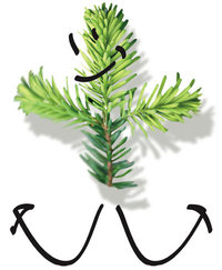 test 11